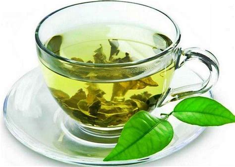 Повышает ли зеленый чай давление