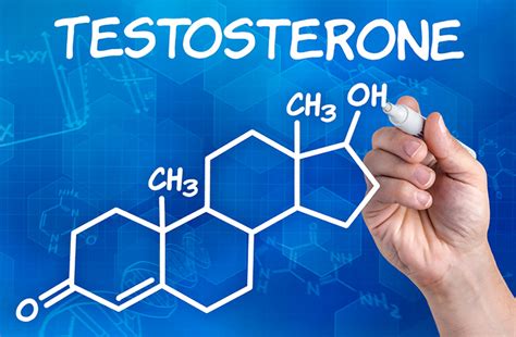 Повышенный тестостерон у женщин причины