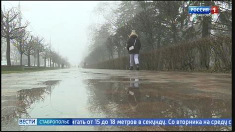 Погода дмитриевское ставропольский край