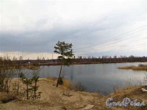 Погода павлово на неве ленинградской области кировский район