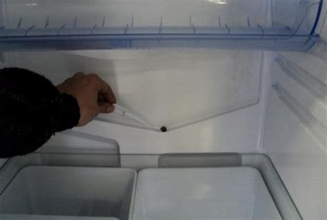 Почему течет холодильник внутри