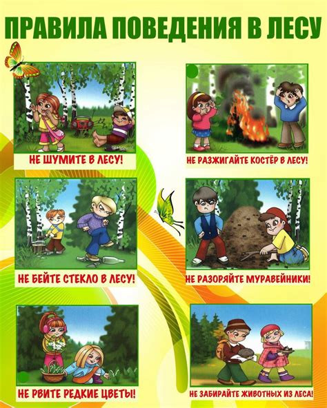 Правила поведения в лесу для детей