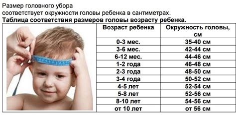 Размер головы новорожденного ребенка