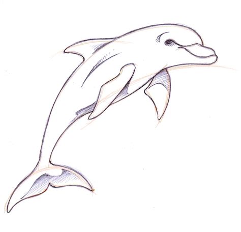 Рисунок дельфин