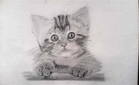 Рисунок котенок