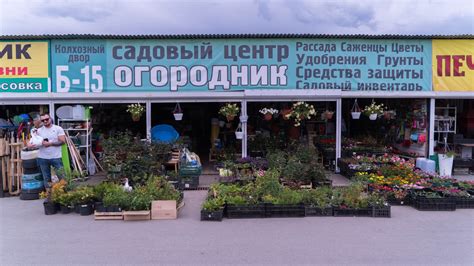 Садовый центр петрозаводск