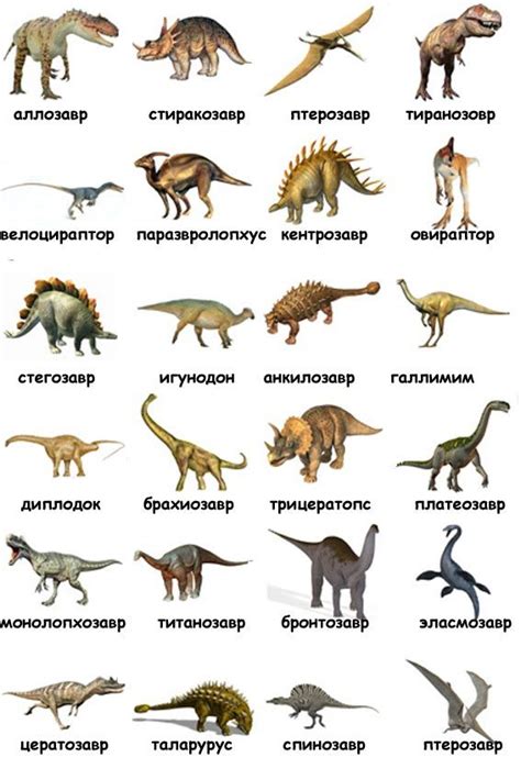 Самое длинное название динозавра
