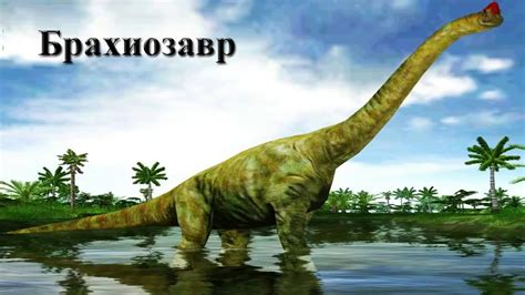 Самое длинное название динозавра