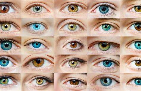 Самые редкие цвета глаз