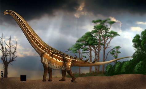 Самый большой травоядный динозавр