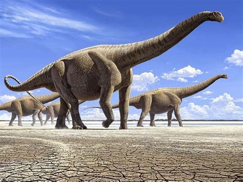 Самый большой травоядный динозавр