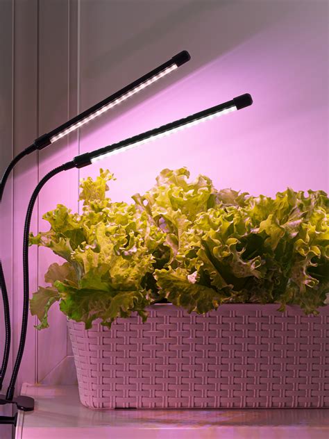 Светильник для растений