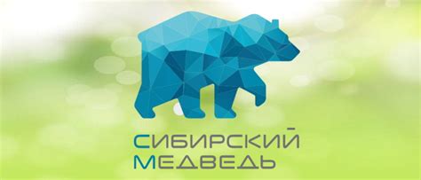 Сибирский медведь личный кабинет войти и оплатить