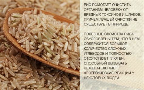 Сколько белка в рисе