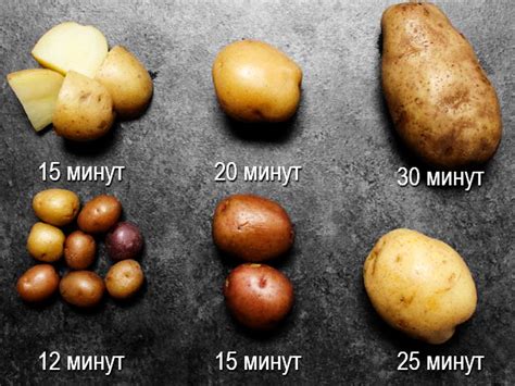 Сколько времени варится картошка