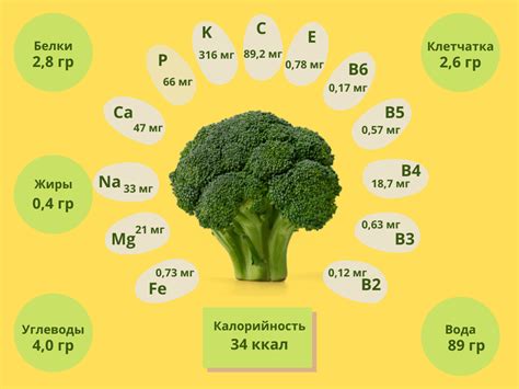 Сколько калорий в брокколи