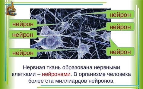 Специальный белок выделяемый нервными клетками который участвует в процессах памяти