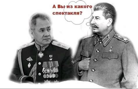 Сталин и шойгу