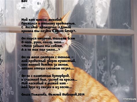 Стихи про котов