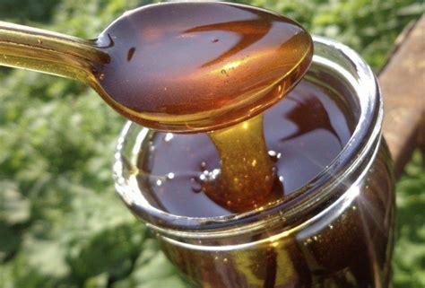 Темный мед из каких растений