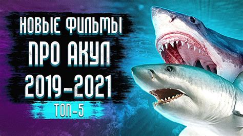 Фильм про акул 2021 смотреть онлайн бесплатно в хорошем качестве