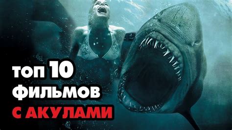 Фильмы ужасов про акул самые страшные и жуткие с высоким рейтингом