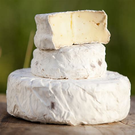 Французский сыр с плесенью