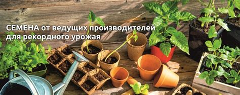 Центр садовода оренбург официальный сайт каталог