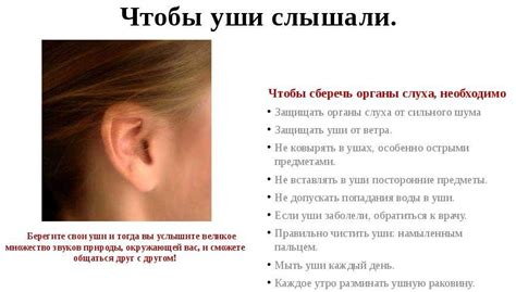Чем лечить ухо