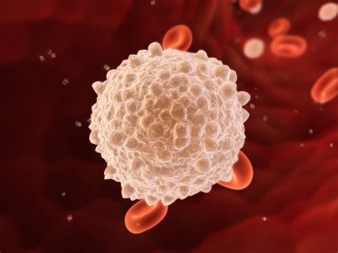 Чем поднять лейкоциты в крови