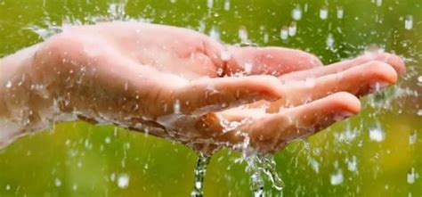 Чистая ли дождевая вода