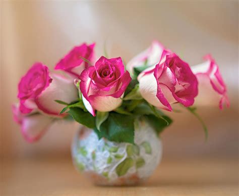Чтобы розы дольше стояли в вазе что нужно добавить в воду
