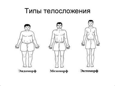 Эндоморфный тип телосложения