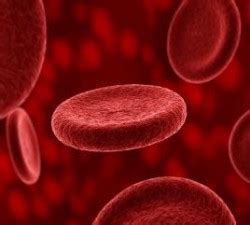 Эритроциты понижены в крови у женщин