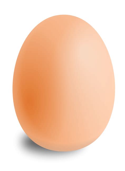 Яйцо пнг
