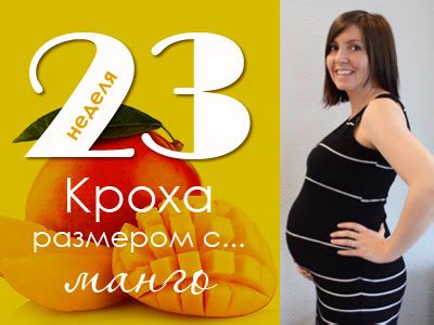 23 неделя беременности что происходит