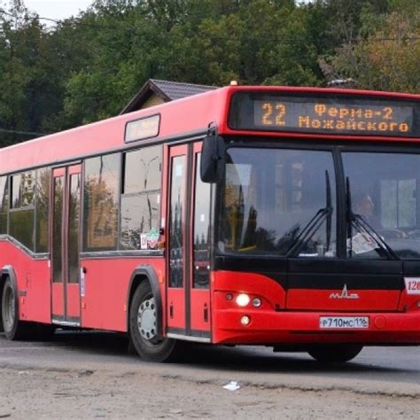 231 автобус
