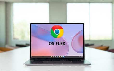 Chrome os flex