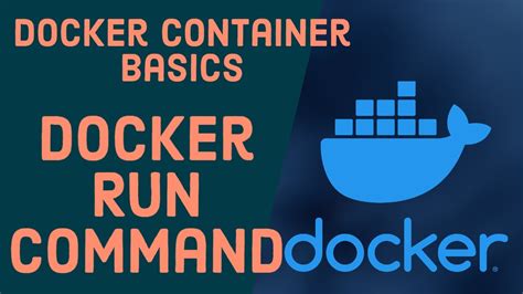Docker run container