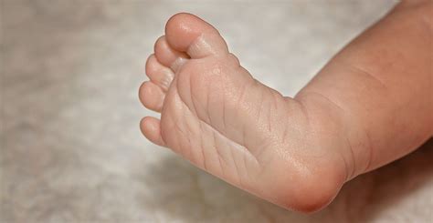 Foot feet