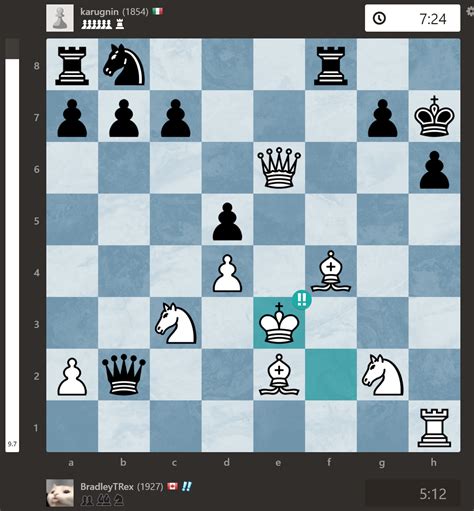 Https www chess com