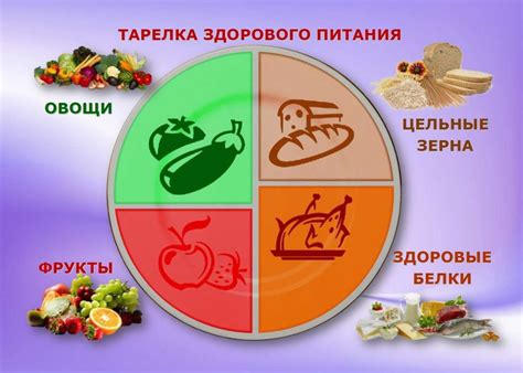 Https www niig su регистрация основы здорового питания