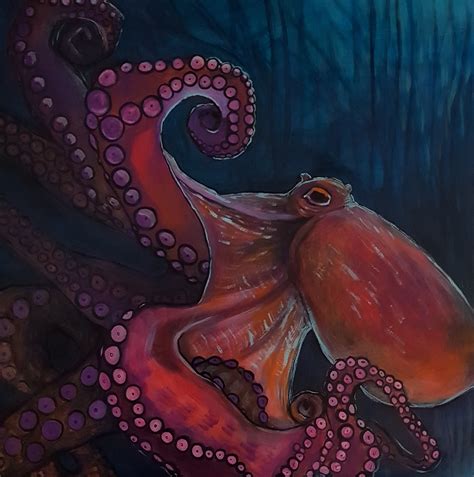 Octopus велосипеды