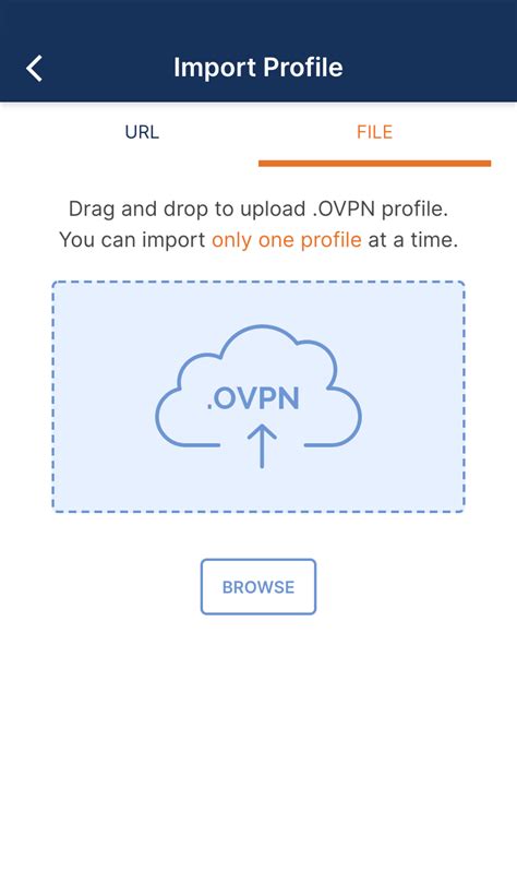 Openvpn profile
