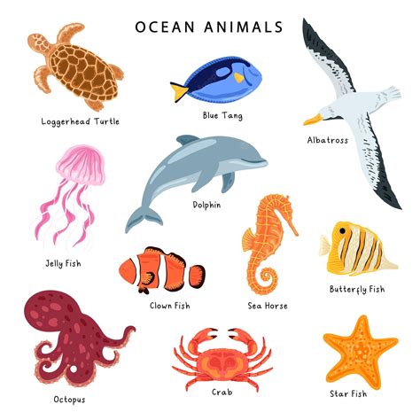 Sea animals