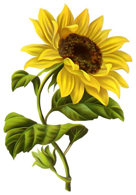 Sunflower скачать бесплатно