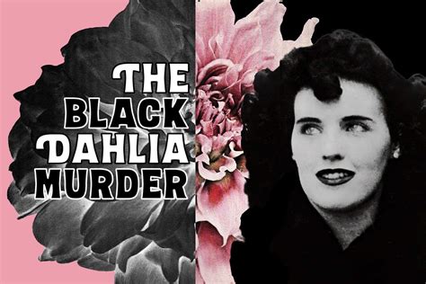 The black dahlia murder