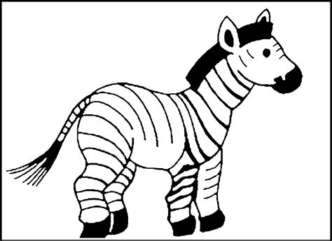 Zebra color